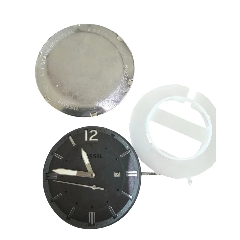 Fossil lot stainless